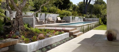 california swimming pool designer with arid landscape plantings with concrete raised walls and pool