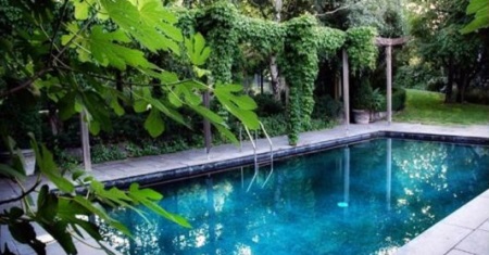 swimming pool landscape plantings design by LAND ART Landscape Architecture